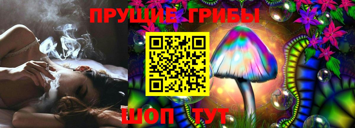 Псилоцибиновые грибы мухоморы  закладки  Отрадный  Вход с VPN  Галлюциногенные грибы Psilocybine cubensis 